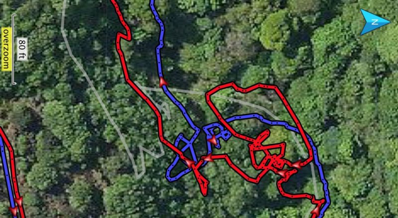 Satellite view of three coloured tracks through the verdant countryside.