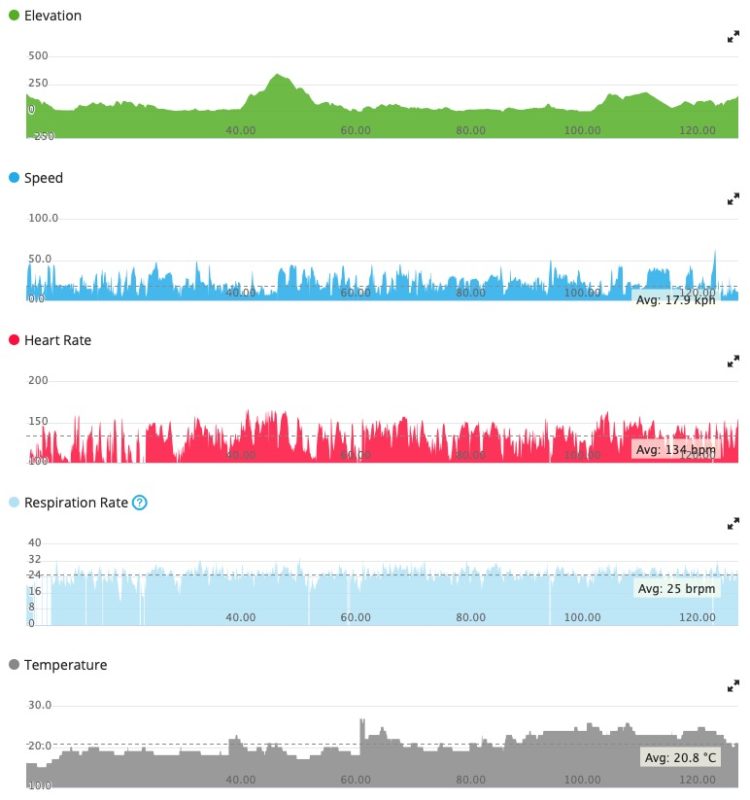 Page of statistics clipped from Garmin Connect