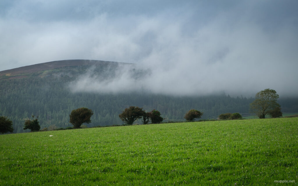 A small white cloud obscures a wooded hillside